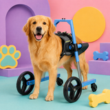 Universal Dog Wheelchair for Front or Rear Legs – 2-in-1 Adjustable Mobility Cart