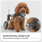 4-Wheel Dog Wheelchair, Full Support Mobility Cart for Front & Back Legs
