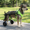 Adjustable Dog Wheelchair for Back Legs