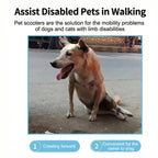 Dog Drag Bag with Wheels & Built-In Pee Pad Pocket (Skateboard Mobility Aid)