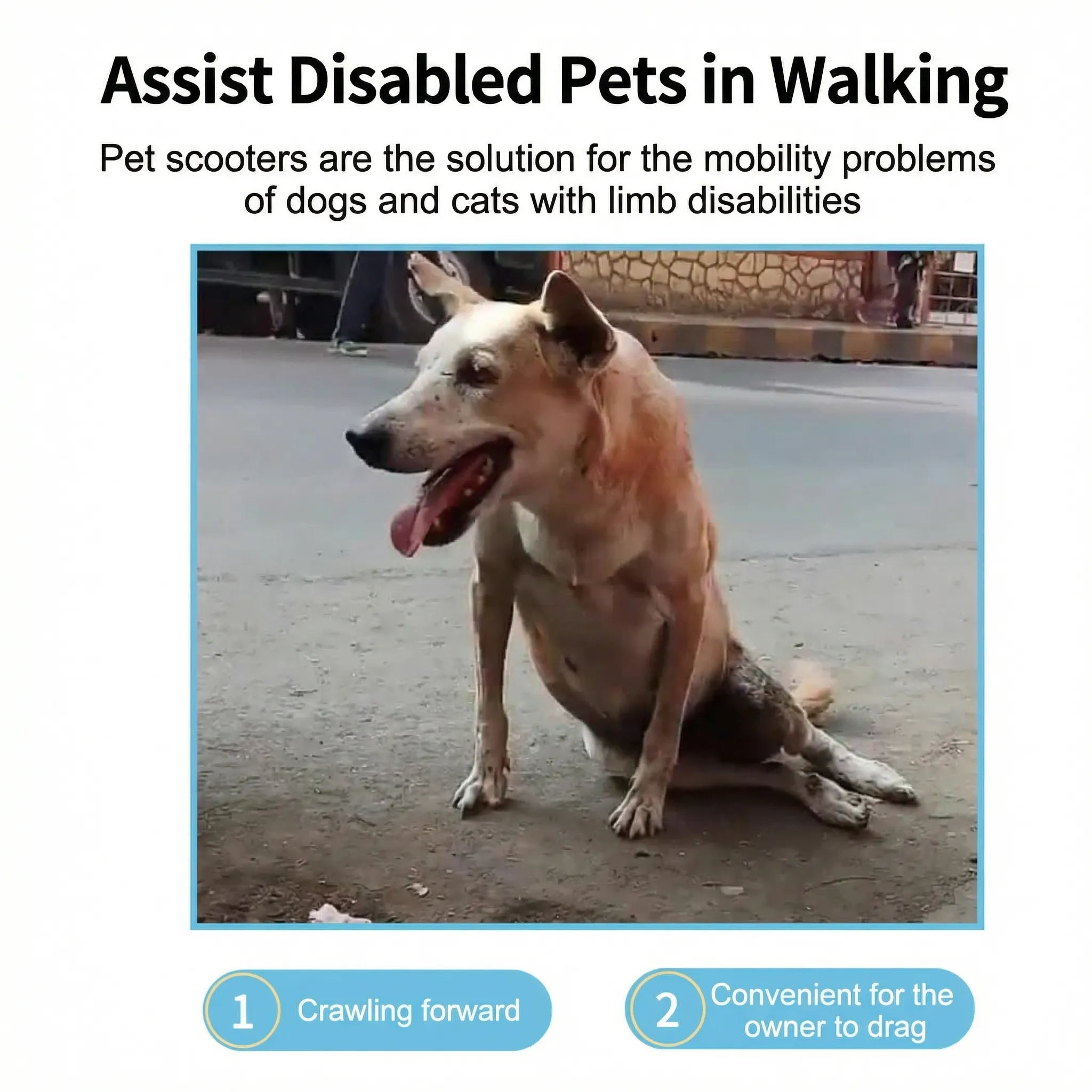 Dog Drag Bag with Wheels & Built-In Pee Pad Pocket (Skateboard Mobility Aid)