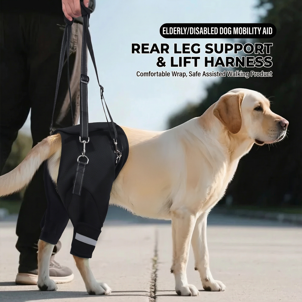 Dog Rear Harnesses Dog Rear Lift Harness | Rear Support for Senior Dogs – BARK AND MEOW