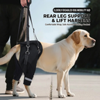 Dog Rear Lift Harness for Senior & Disabled Dogs – Hind Leg Support Sling for Arthritis, Injury & Post-Surgery Recovery