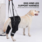 Dog Rear Lift Harness for Senior & Disabled Dogs