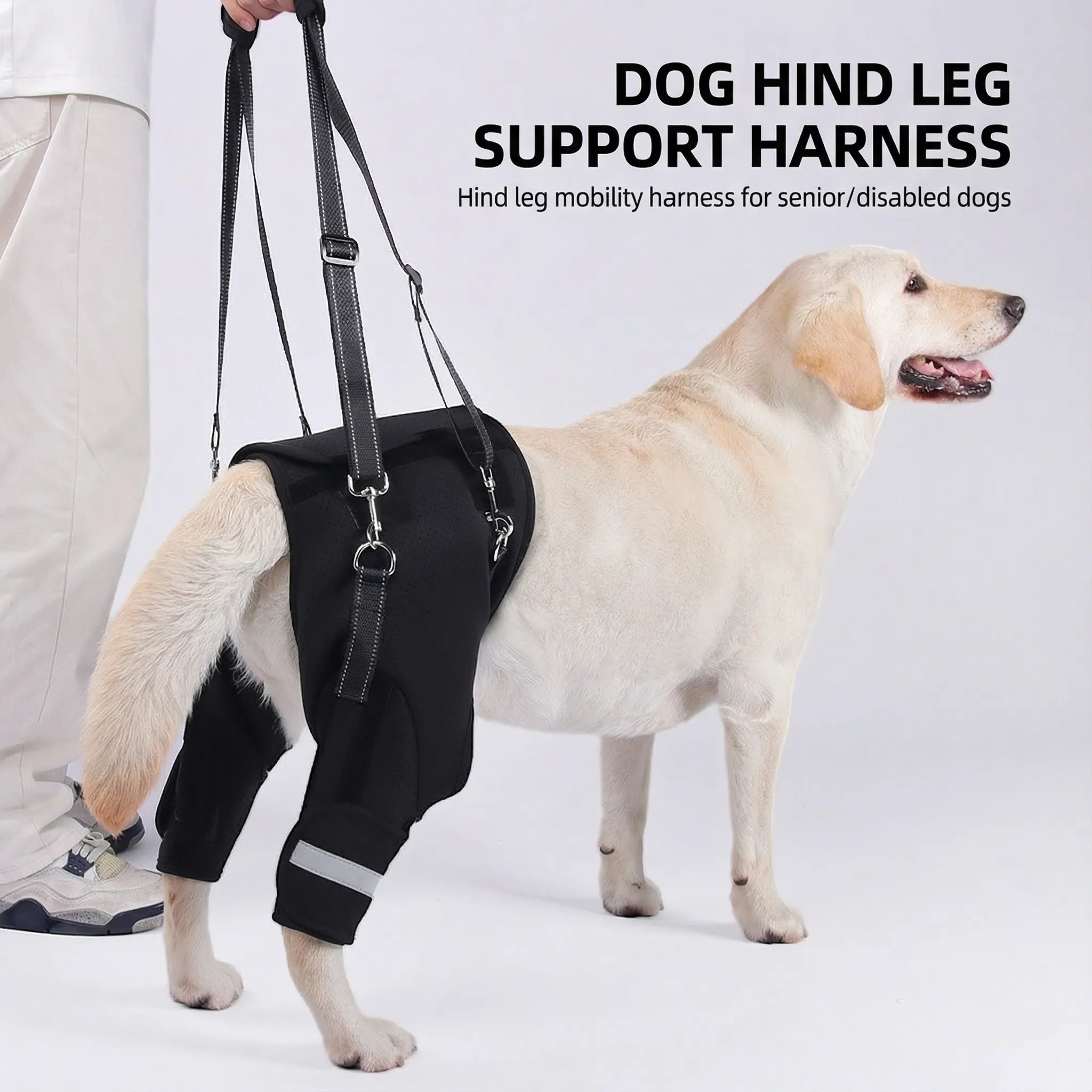 Dog Rear Lift Harness for Senior & Disabled Dogs