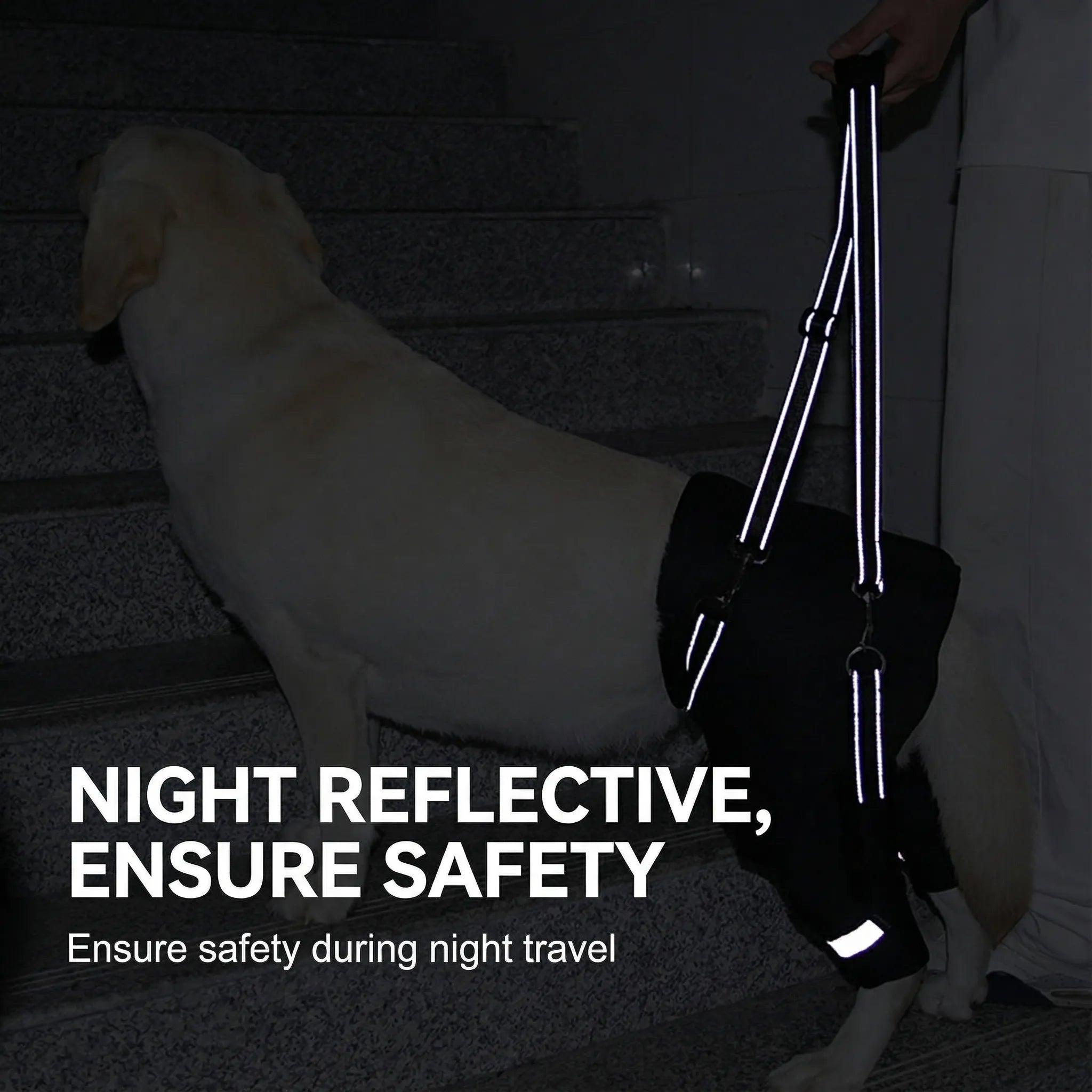 Dog Rear Lift Harness for Senior & Disabled Dogs