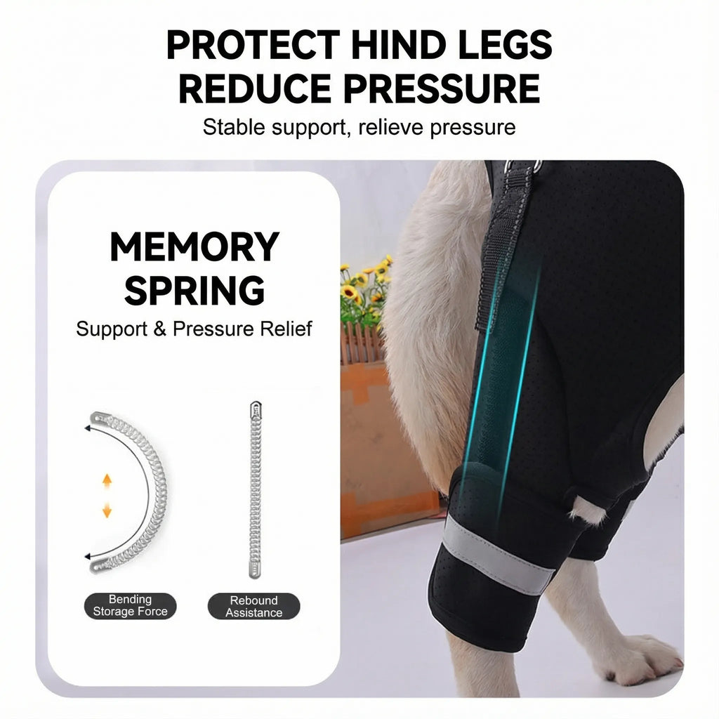 Dog Rear Lift Harness for Senior & Disabled Dogs