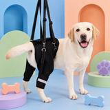 Dog Rear Lift Harness for Weak Back Legs – Hind Leg Support Sling for Senior Dogs
