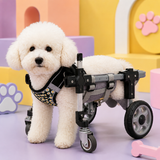 Full Support Dog Wheelchair for Front & Back Legs – 4-Wheel Mobility Cart
