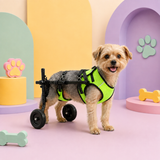 Adjustable Rear Support Dog Wheelchair with 3D Mesh Harness