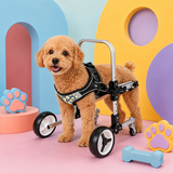 Dog Wheelchair for Front Legs – Adjustable Support for Small & Medium Dogs