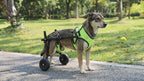 Adjustable Dog Wheelchair for Back Legs