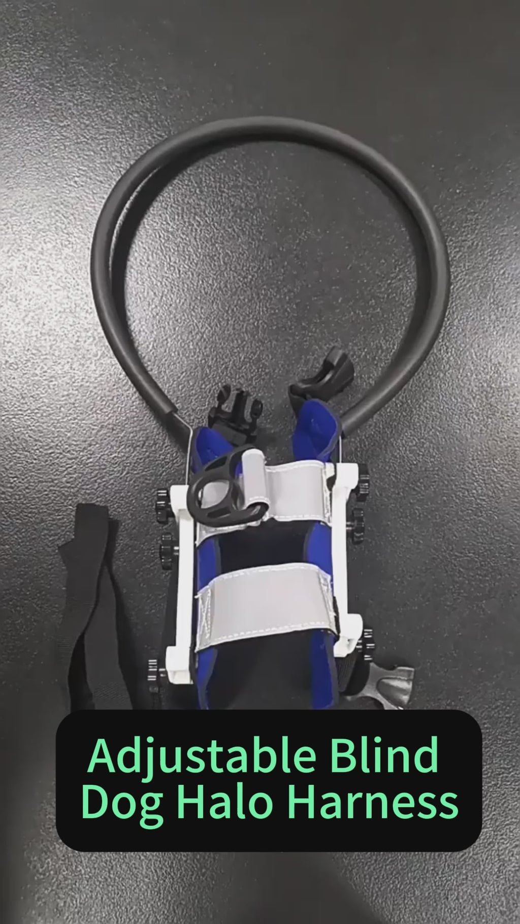 Adjustable Blind Dog Halo Harness with Bumper Ring (Reflective) — Anti-Collision Protective Collar & Leash Attachment, For Visually Impaired / Blind Dogs