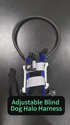 Adjustable Blind Dog Halo Harness with Bumper Ring (Reflective) — Anti-Collision Protective Collar & Leash Attachment, For Visually Impaired / Blind Dogs
